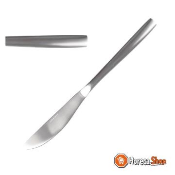 Satin table knives 22.1 cm