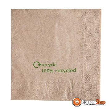 Serviettes en papier kraft recyclé 2 plis