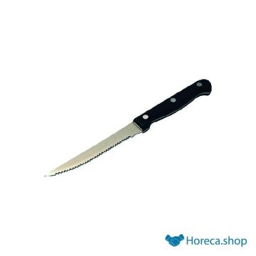 Bistro steak knife stainless steel 22 cm