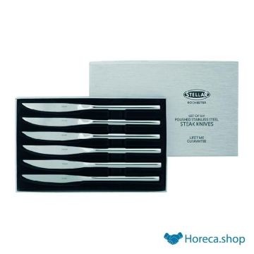 Steak knife 6 pieces stainless steel 18 10