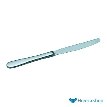 Table knife mono roma 18 10