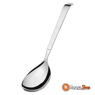 Serving spoon 310 1319
