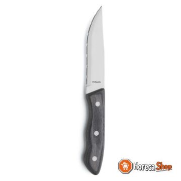 Steak knife 247 4917