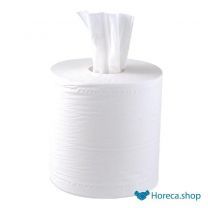 Centrefeed 2-laags handdoekrollen wit 120m (6 stuks)